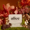 Alice Mushrooms | Alice Mushrooms For Sale