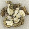 White Burma mushroom , White Burma mushrooms For Sale